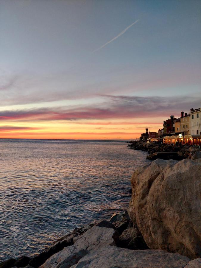 Studio Cebelica Piran Bagian luar foto